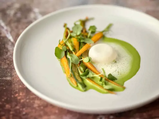 Ostemousse med persillecreme, gulerødder og urter