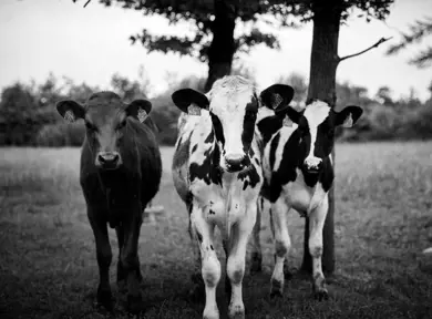 Vous souhaitez en savoir plus?