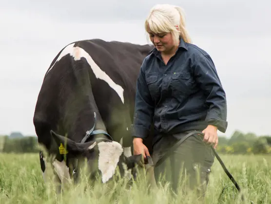 Sustainability Champion