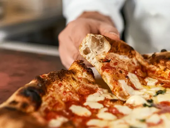 Your Professional Pizza Partner