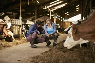 Klimachecks unterstützen Verbesserungen auf dem Bauernhof