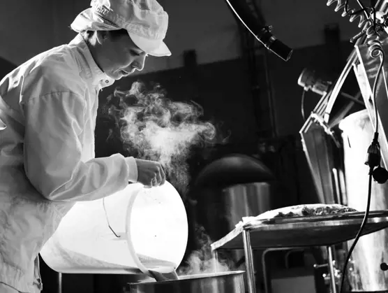 Fødevare- og industriproduktion