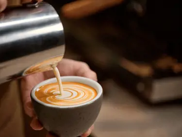 Et plantebaseret barista-produkt med en mild smag, glat og fyldigt mikroskum og en cremet mundfølelse. Produktet er skabt og udviklet i samarbejde med baristaer, så du kan lave plantebaserede versioner af kaffedrikke uden at gå på kompromis med smag eller ydeevne. 
