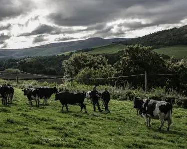 Farmer Owned: Why This Matters To Your Customers