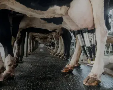 High-tech Farming with Heart