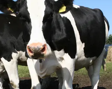 Visionær landmand med kærlighed til klimaet