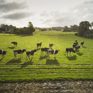 Chez Arla Pro, le développement durable n’est pas une option, mais bien la priorité.