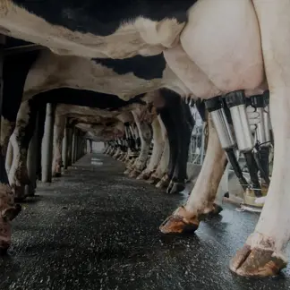 Une agriculture high-tech qui a du cœur